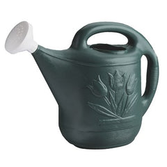 Novelty Standard Watering Can 2 gallon