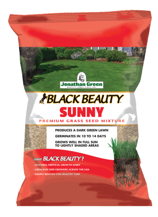 Black Beauty® Sunny Grass Seed