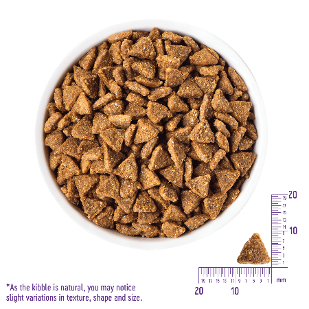 Wellness CORE Grain Free Small Breed Healthy Weight