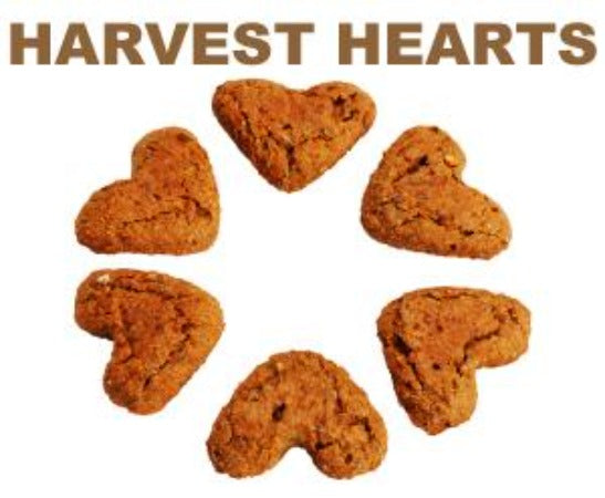 Pawduke Harvest Hearts 16 oz