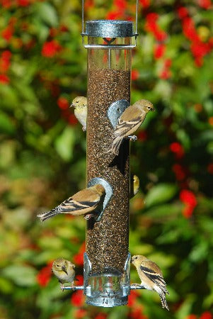 Classic Finch Feeder with Ring Pull Advantage