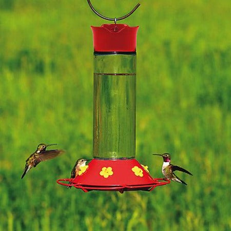 Glass Hummingbird Feeder 30 oz