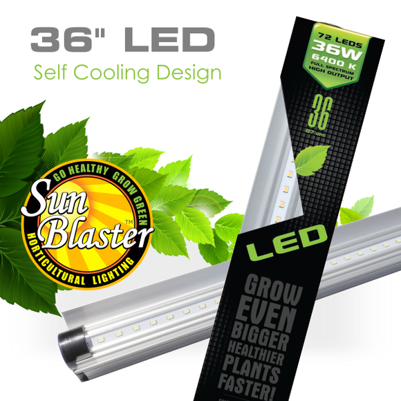 Sunblaster High Output LED Grow Light 3' 36W 6400K